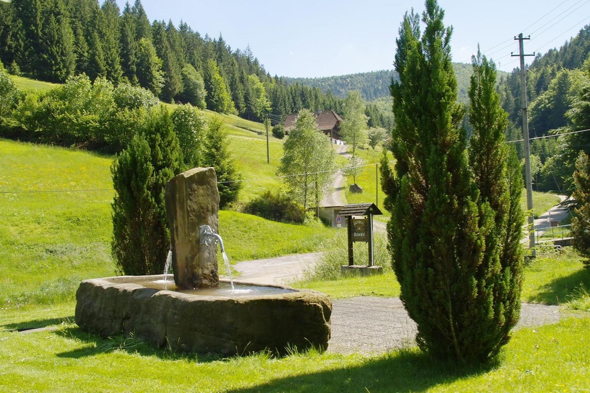 Gaestehaus Absbachtal Bad Rippoldsau-Schapbach Eksteriør billede