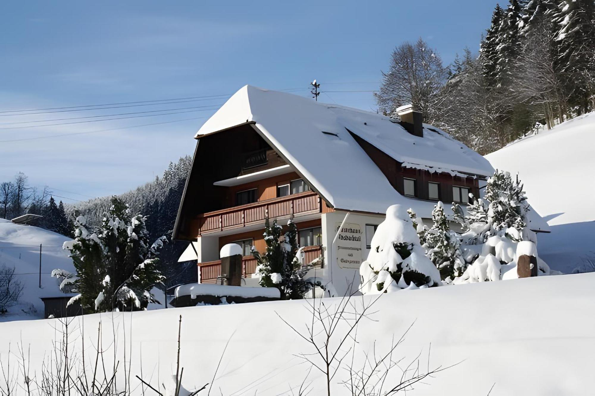 Gaestehaus Absbachtal Bad Rippoldsau-Schapbach Eksteriør billede